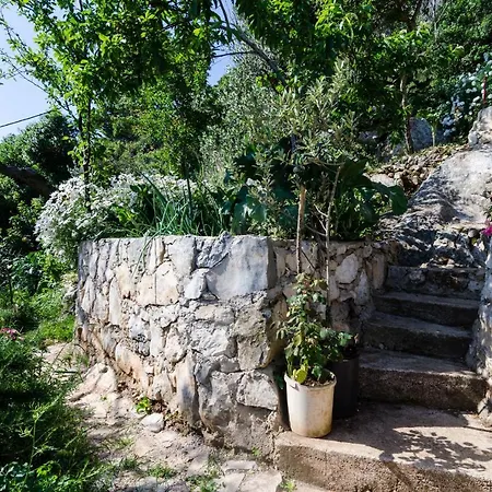 Anita 3* Babino Polje